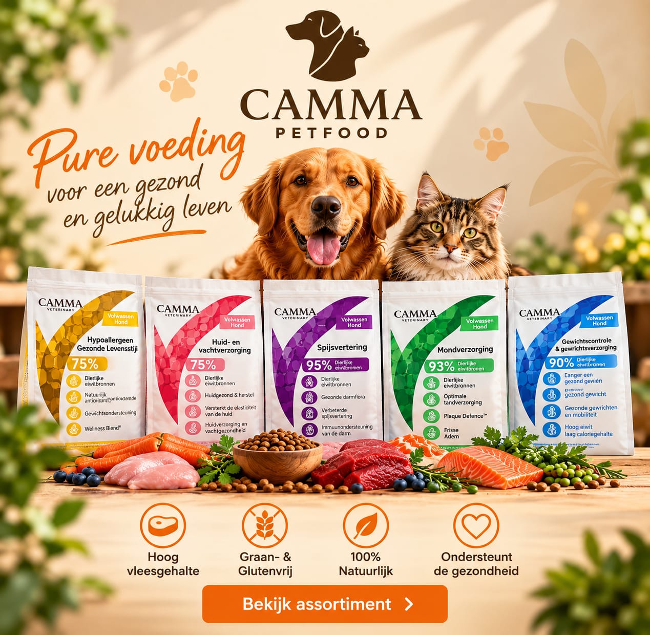 camma homepage